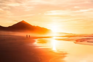Best International Removals Ireland Euroremovals