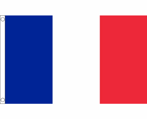 Irish Moving to France