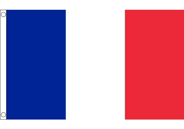 Irish Moving to France